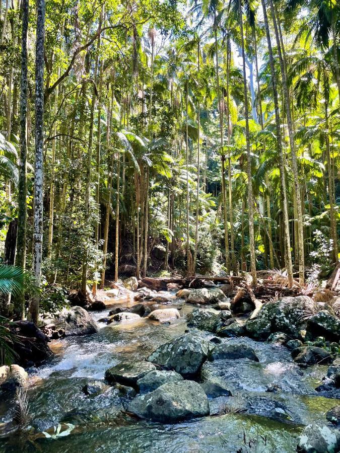 Mountain Studio Escape Mount Tamborine Bagian luar foto