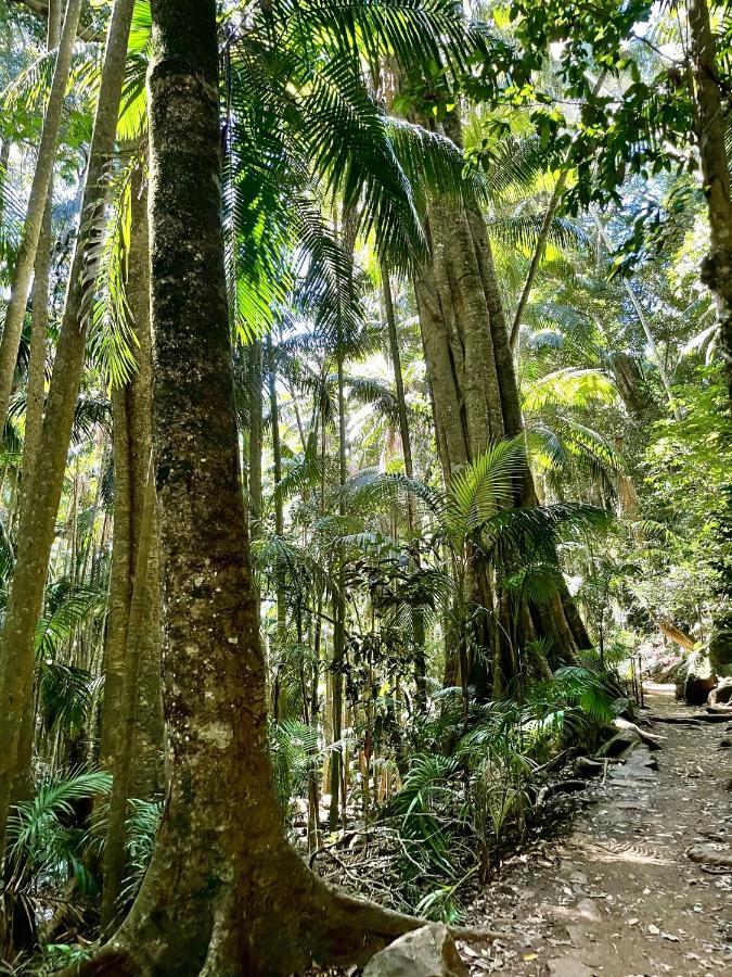 Mountain Studio Escape Mount Tamborine Bagian luar foto